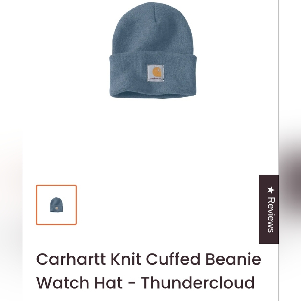 Carhartt Thundercloud Soft Knit Cuffed Beanie OS Blue With Logo
